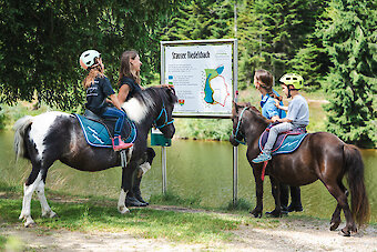 Sommerurlaub auf dem Ferienhof im Bayerischen Wald